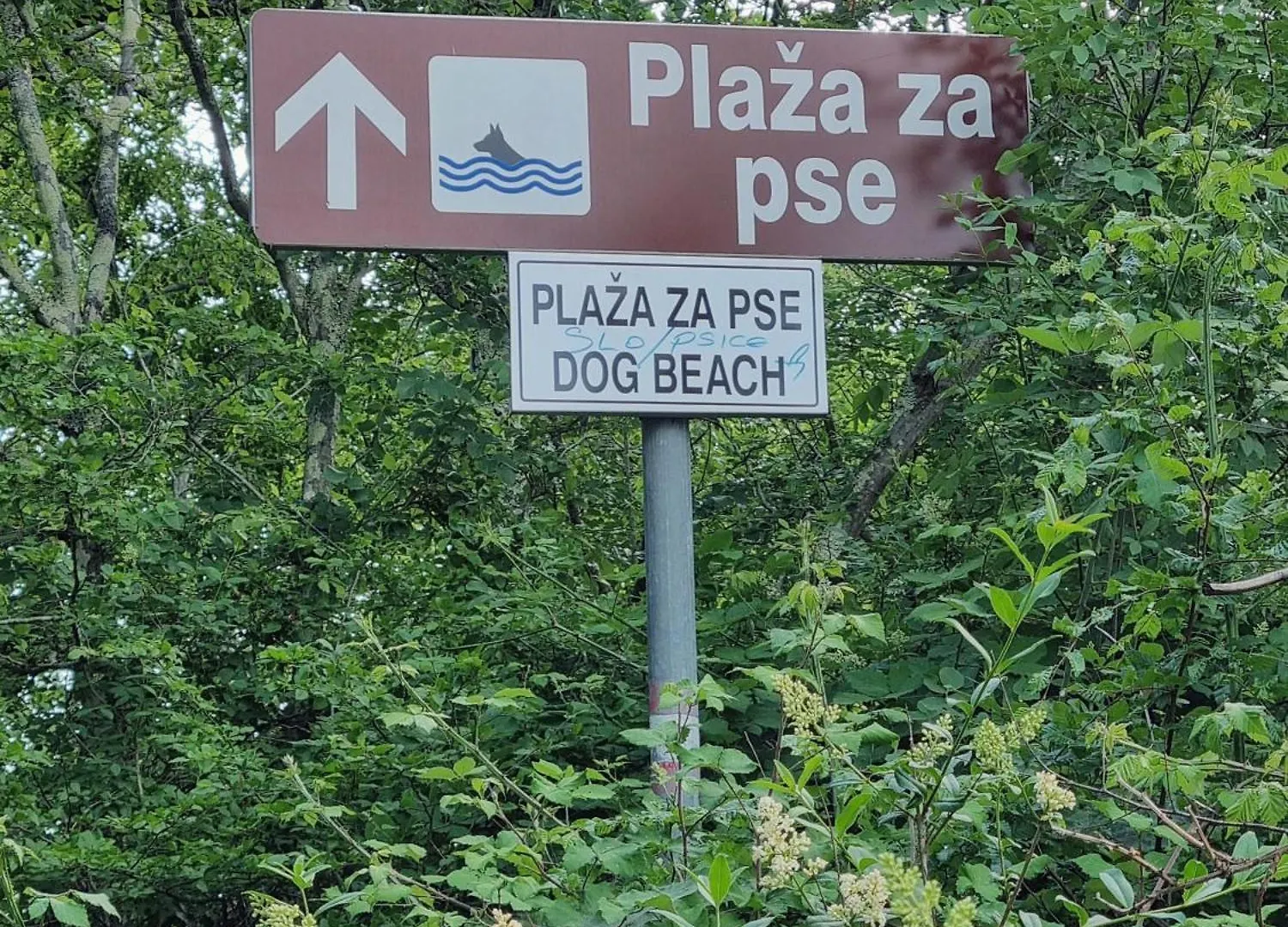 Apartment Sol Dolcevita Njivice